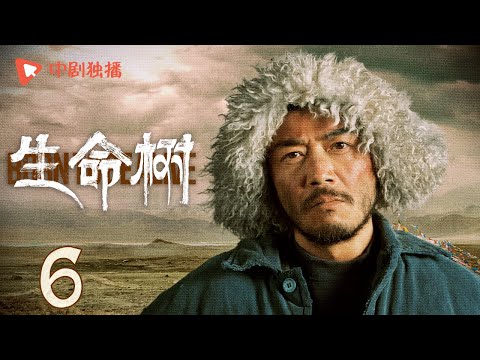生命树 06 | Born to be alive 06（杨紫、胡歌、李光洁、张哲华、杨烁、梅婷 领衔主演）