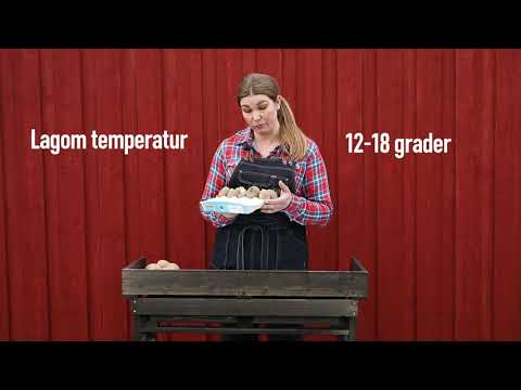 5 tips när du odlar potatis