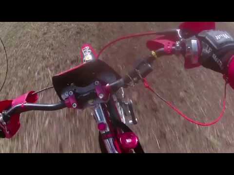 Mater of Midshires 2017 - Upright heat 1 - GoggleCam