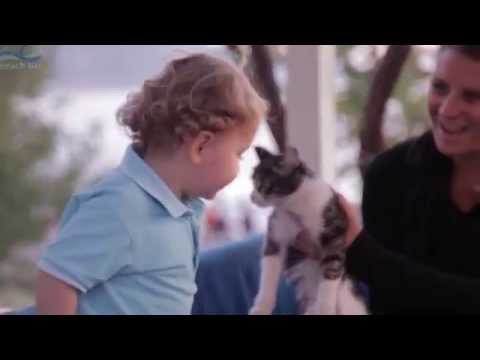 Buzz Beach Bar Oludeniz Fethiye Turkey