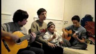 Duckpond -Millencolin - acoustic cover