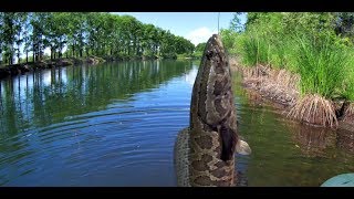 Рыбалка на зее чагоян