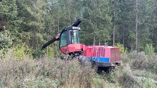 Valmet 911.1 procesadora forestal | Imagen 4 - Agroline