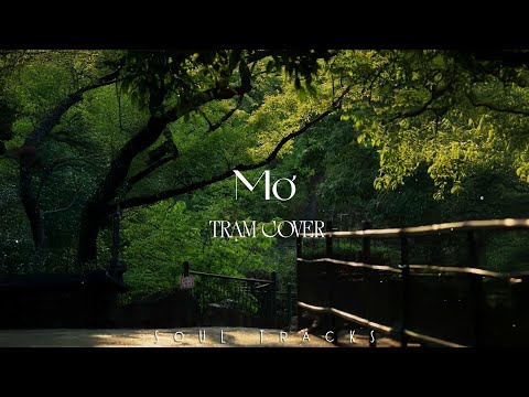 Mơ, Giấc Mơ Trưa, Từng Là, Có Em Chờ, Dấu Mưa - Những Bản Hits Nhẹ Nhàng Cực Chill Thư Giãn [COVER]