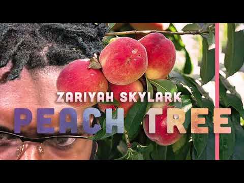Zariyah Skylark - Peach Tree (Audio)
