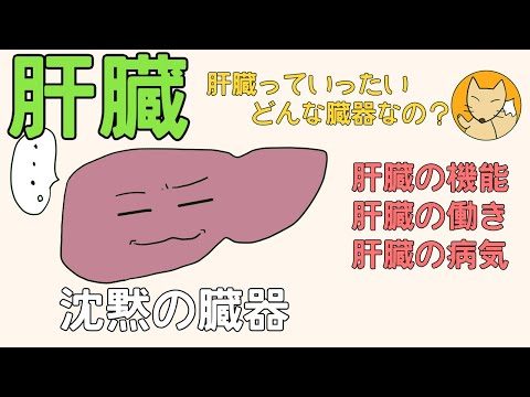 ゼニゴケ属
