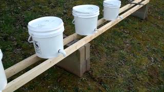 Setting the Hydroponic Dutch Buckets Part-1