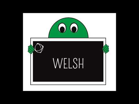 Welsh - Y Blodyn / The Flower - Cefin Roberts