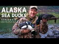 Alaska Wildfowl Adventures - Harlequin, Barrow's / Common Goldeneye, Black Scoter Sea Duck Hunting