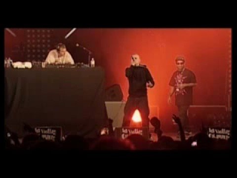 THePETEBOX @ Vieilles Charrues Festival with Foreign Beggars