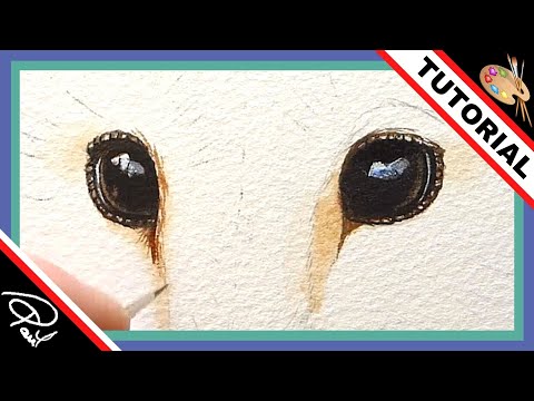 Thumbnail of Painting a Barn Owl's Eyes in Watercolour!