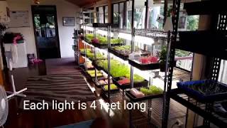 My microgreens growing/planting and packing area . A tour of setup to date 🌱