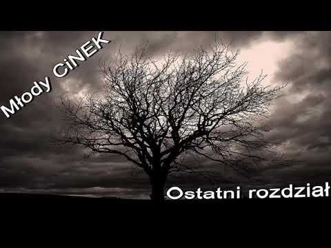 Młody CiNEK - Statek