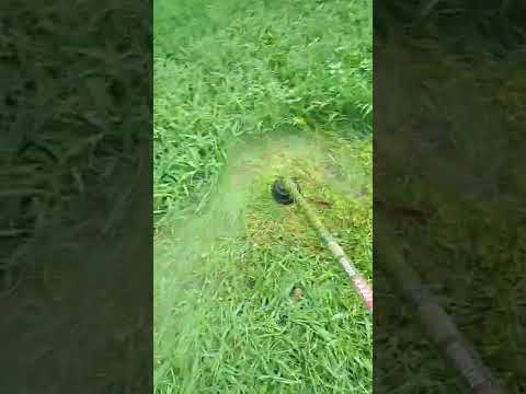 probando motoguadaña sensei 63cc !! buena maquina.