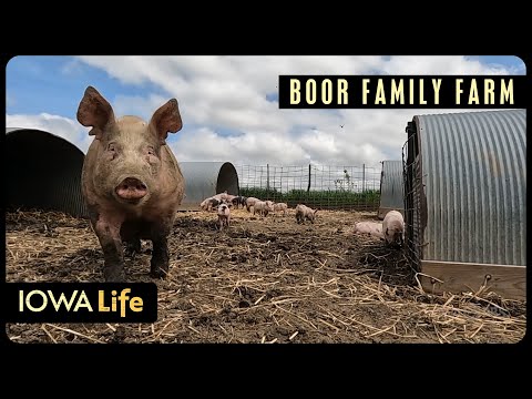 Boor Family Farm | Iowa Life