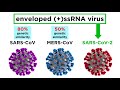 MERS CoV and SARS CoV 2 COVID 19 von Pro