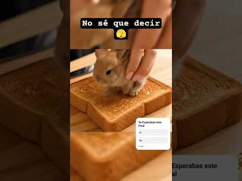 #asmr #memes #humor #parati #viral #shorts #encuesta #final #epico #ia