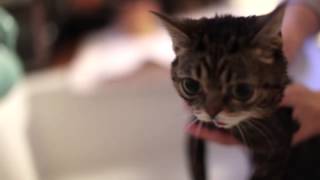 "Drippy" Banco De Gaia (BUB BATHES AGAIN)