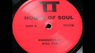 Will Tek House of Soul (B2)