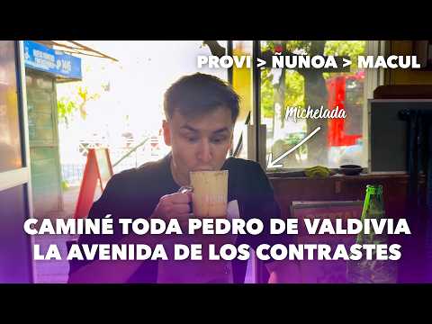 De Provi a Macul: caminé toda la avenida Pedro de Valdivia
