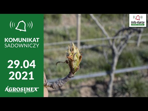 Przymrozki, biostymulacja i ochrona przed szkodnikami i chorobami - Komunikat sadowniczy Agrosimex