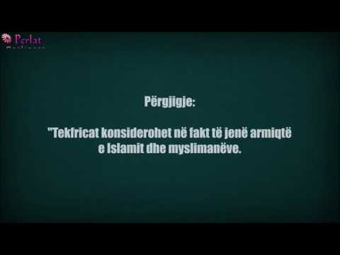 Franca dëshiron ndihmën e Selefive kundër terroristëve - Nexhmi