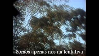 Where the Birds Always Sing - The Cure