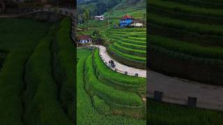 Download lagu SUMPAH! Inilah Suasana Pedesaan Terindah Di Jawa Barat Saat Ini. Pemandangan Alam Tasikmalaya Edyan mp3