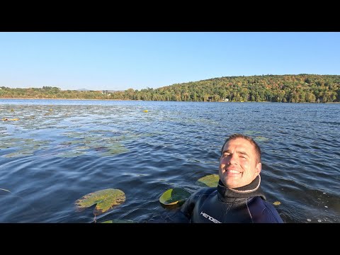 What Lives in a Flooded Peat Bog? I Snorkeled to Find Out.