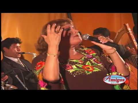 Culpa - Amanda Portales