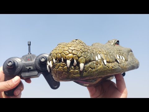 RC Crocodile Boat Unbox and Test