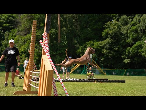 APBT's Mike and Rufina. Jump'n'Gym Fest 2022