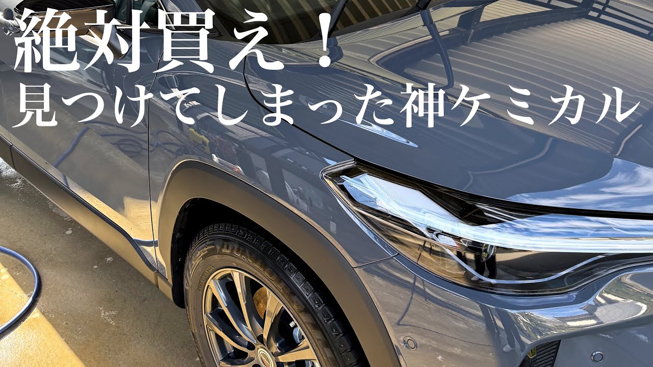 久々に“本物”見つけた。これはヤバい。Finally Found the Real Deal… This Is Crazy.