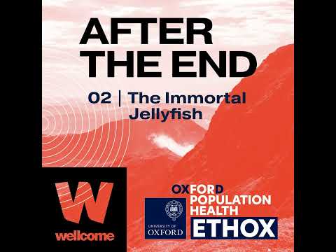 02 | The Immortal Jellyfish - Miranda Lowe