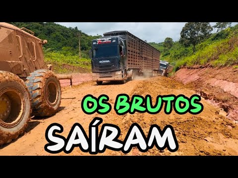 OS BRUTOS FORAM RESGATADOS