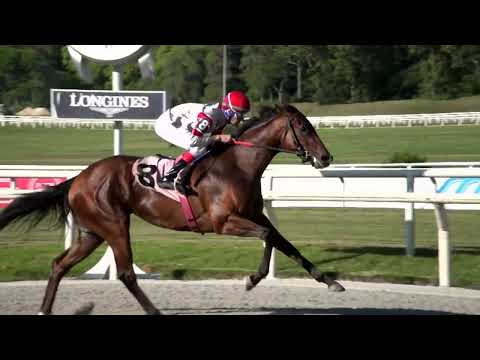 221204 c06 CROWN WINNER