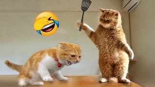 Самые смешные животные / Приколы с котами и собаками 2023 / LA #49
