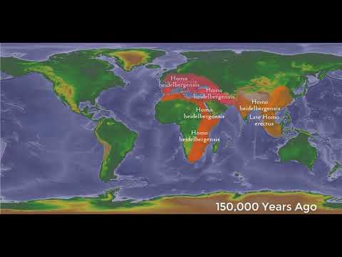 History of the Hominid Populations (Humans, Neaderthals, Denisovans) Timeline HD