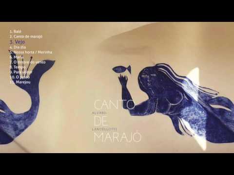 Vejo video