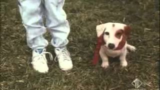 Download lagu Piccola peste torna a far danni manda giù mp3