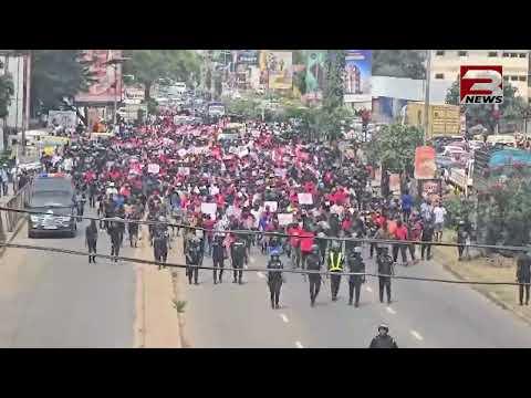 NPP Stages Protest in Accra Over Alleged Harassment by NDC Govt