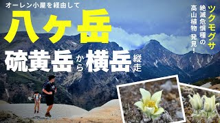 [Yatsugatake, Iodake and Yokodake] A traverse from the Sakuradaira trailhead in search of Tsukumo...