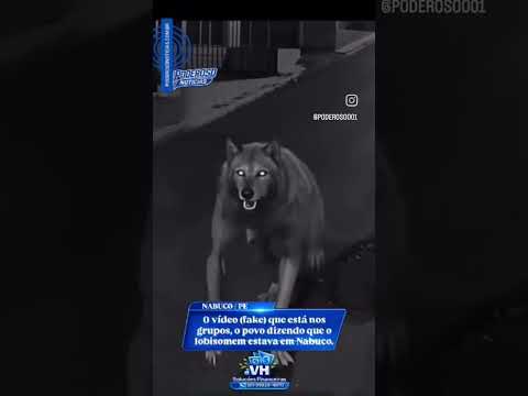 vídeo de suposto lobisomem em Joaquim Nabuco PE e fake News 08/10/26#noticias