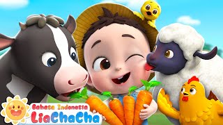 Download lagu Lagu Hewan Ternak🐄 | Si Imut Berkunjung ke Peternakan | Lagu Anak-anak | LiaChaCha Bahasa Indonesia mp3
