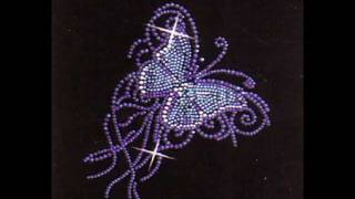 Bushido Schmetterling Lyrics (Orginal Song)