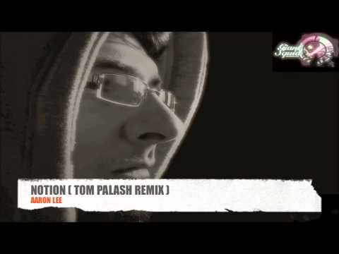 Aaron Lee - Notion (Tom Palash remix)