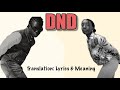 Rema DND Afrobeats Translation Lyrics And Meaning