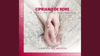 Vergine bella (Live)