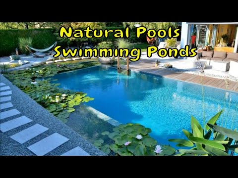Natural Pools | Natural Swimming Ponds | Design ideas | Incredible Design
