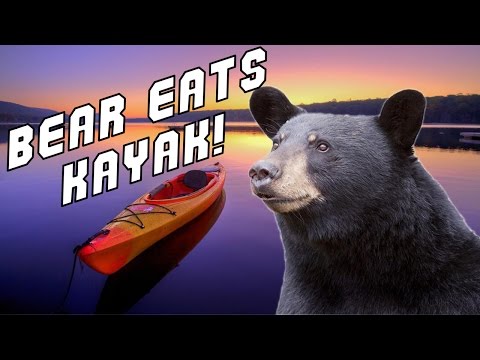 BEAR EATS ANNOYING WOMAN'S KAYAK (Parody)